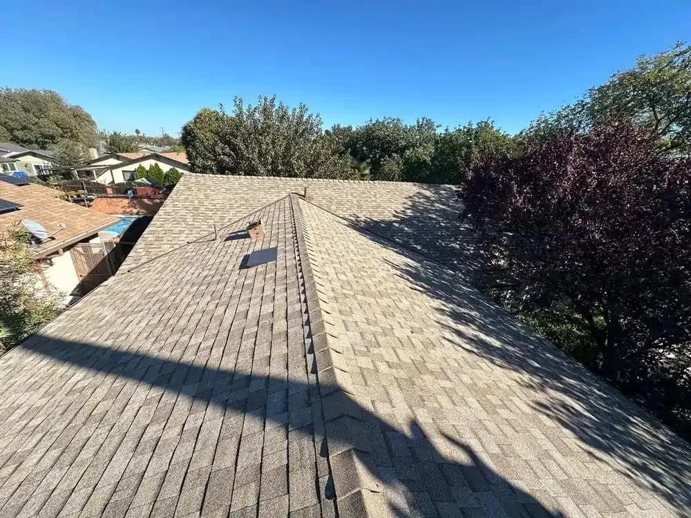 roof review 2