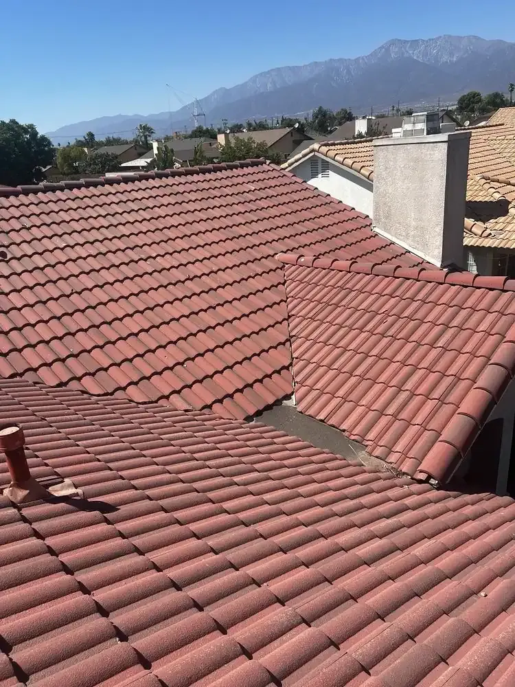 Tile Roof review photo